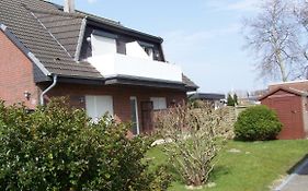 Goden Wind 20